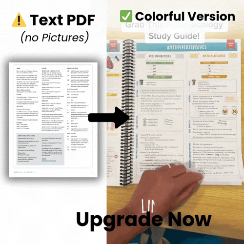 Upgrade To 1,000+ Colorful Beginner Friendly Notes